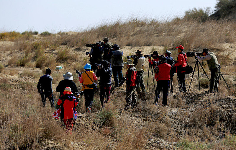 ѡ���������ĵ���