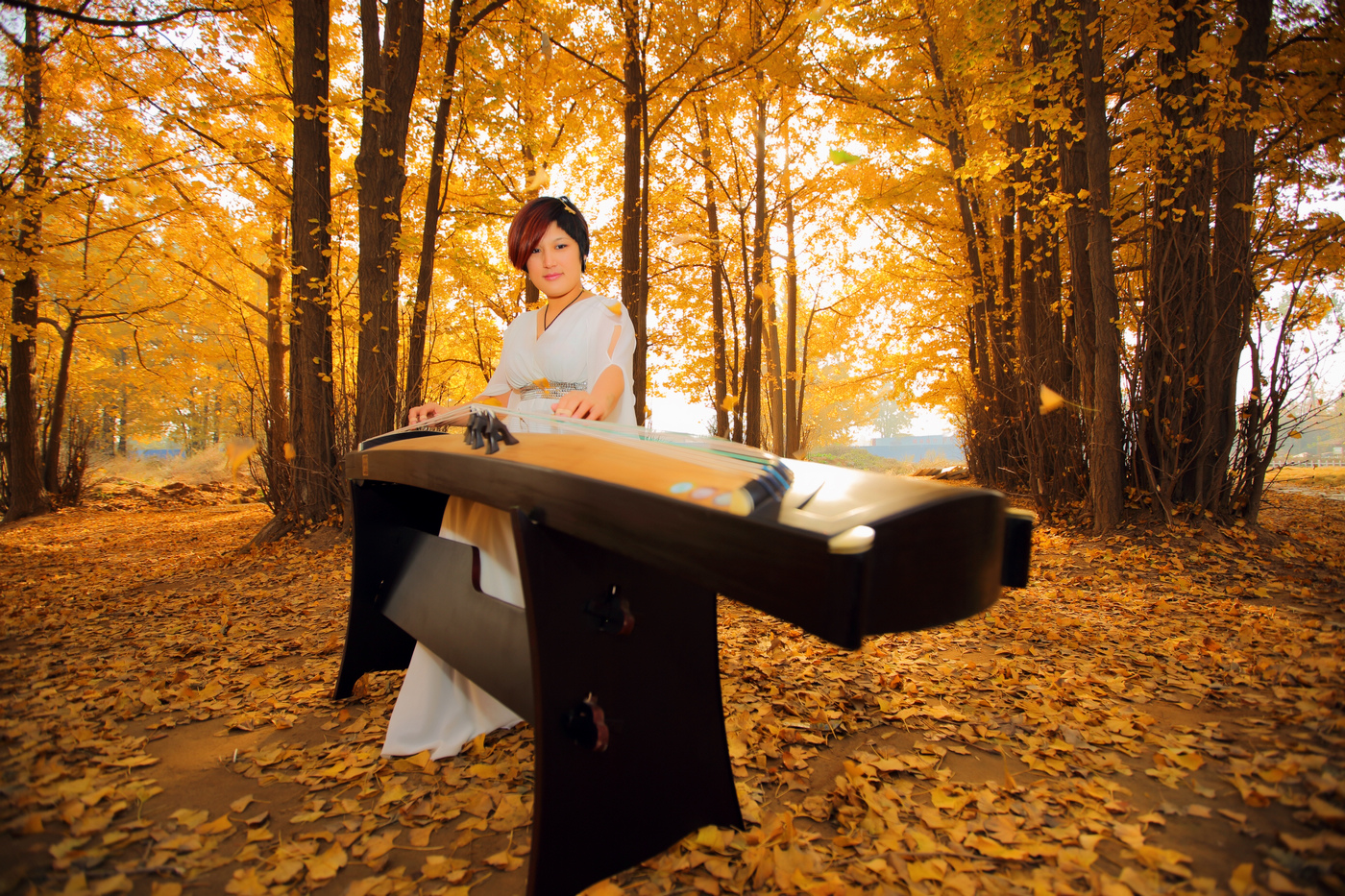 ���� (3).jpg