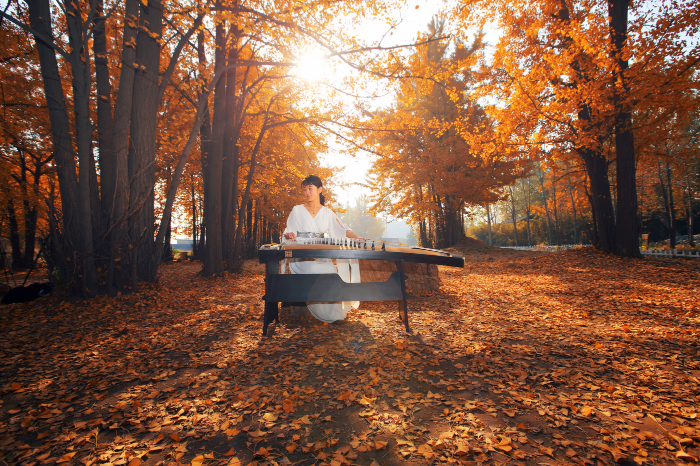 ���� (9).jpg