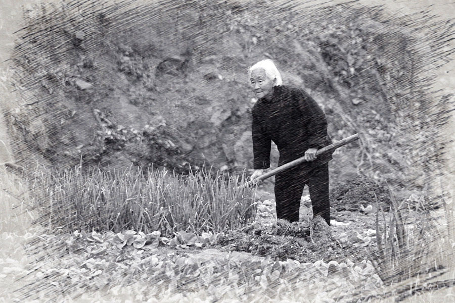 ���������� 246_����.jpg