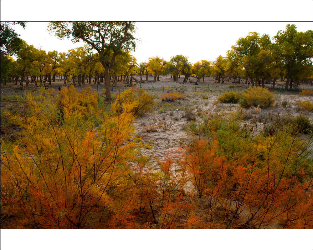 �½�.�ͳ���