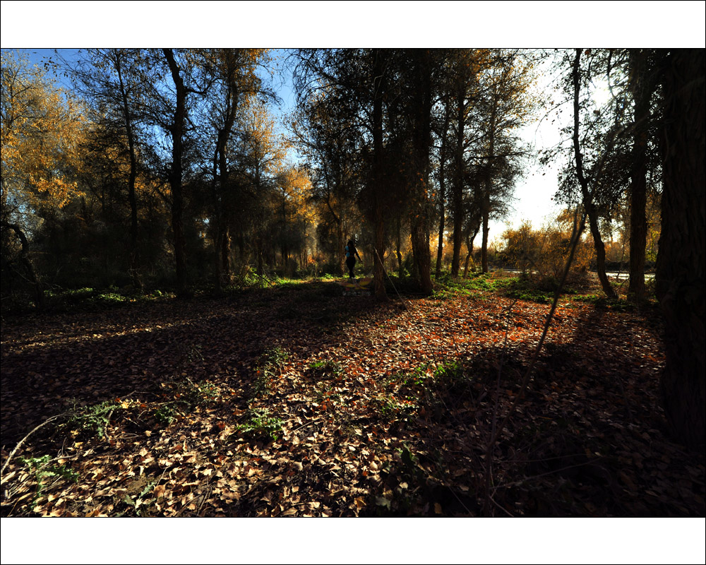 �½�.�ͳ���