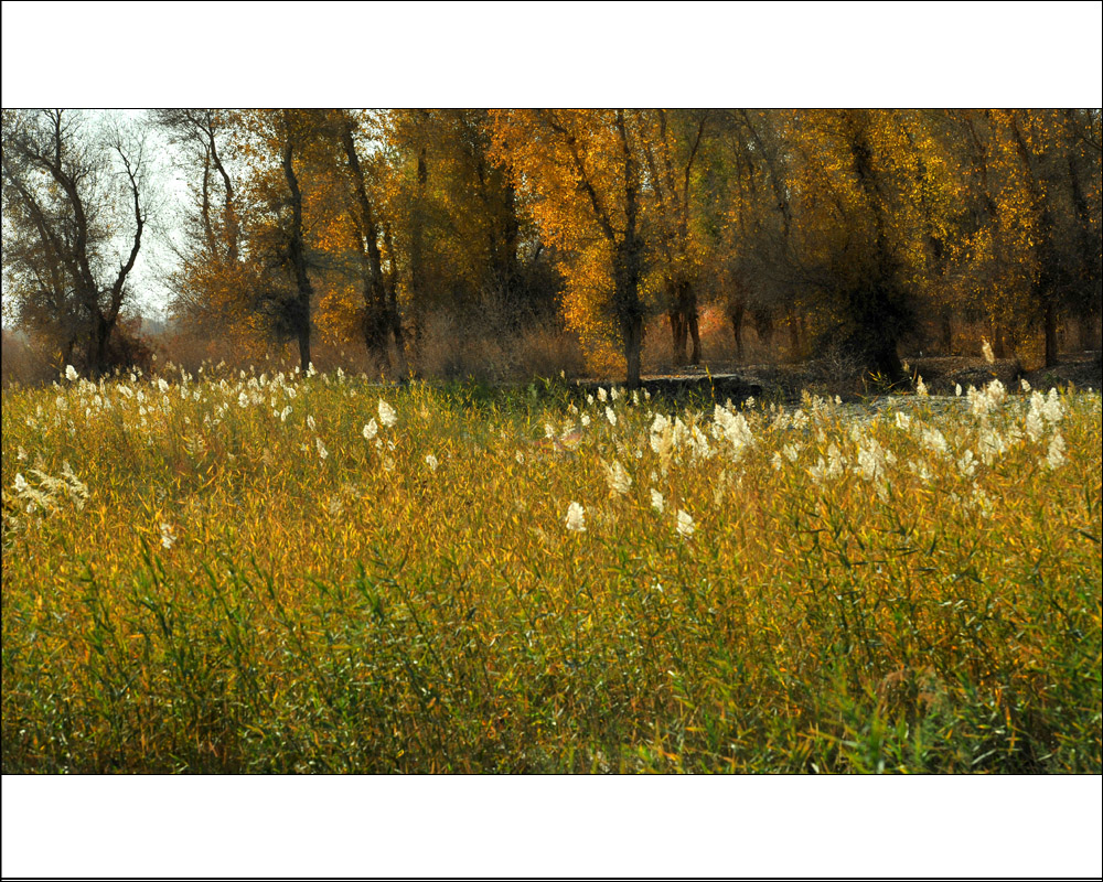 �½�.�ͳ���