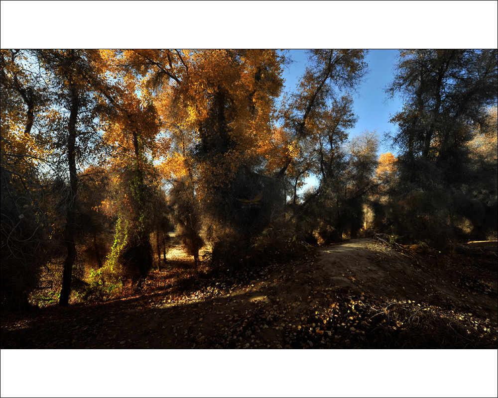 �½�.�ͳ���