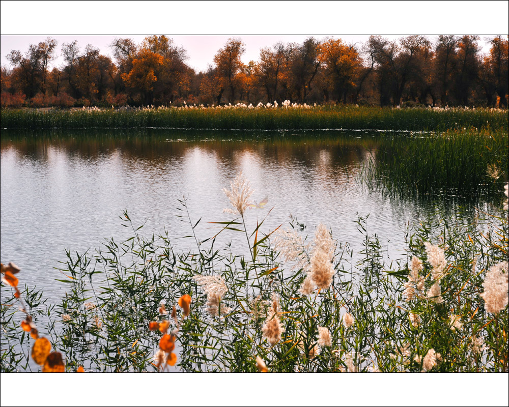 �½�.�ͳ���