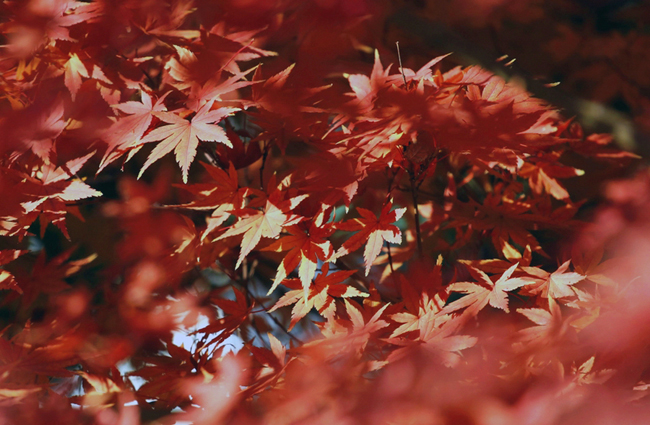 IMG_7141 ����.jpg