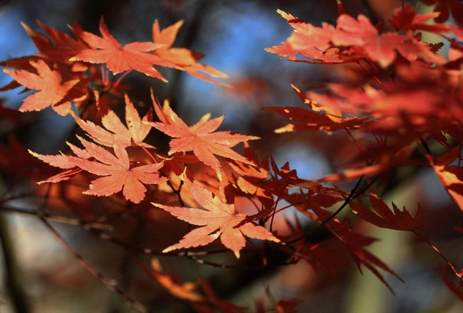 IMG_7156 ����.jpg