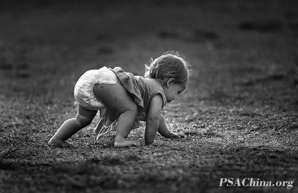 02.��ѧ����Ʒ����ѧ���� TODDLER.jpg