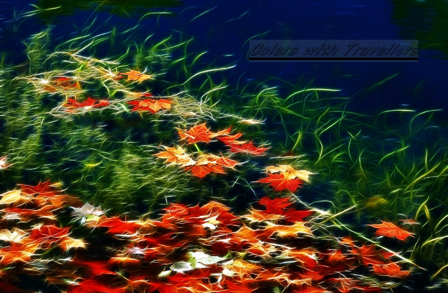 _DSC3819 ��������.jpg