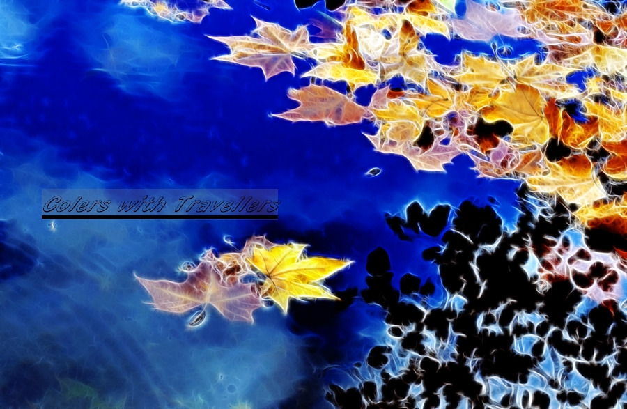 _DSC3661 ��������.jpg