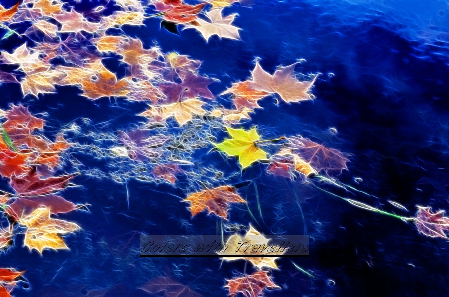 _DSC3666 ��������.jpg