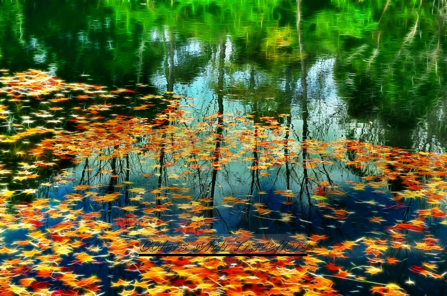 _DSC3779 �������� ��������.jpg