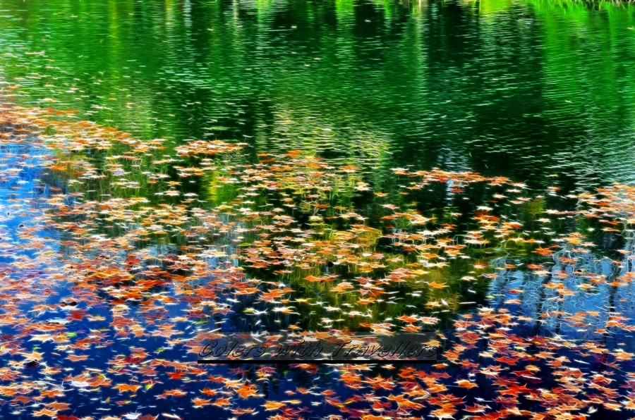 _DSC3783 �������� ��������.jpg