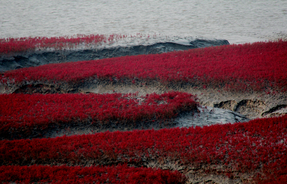 �½�����2 818.jpg