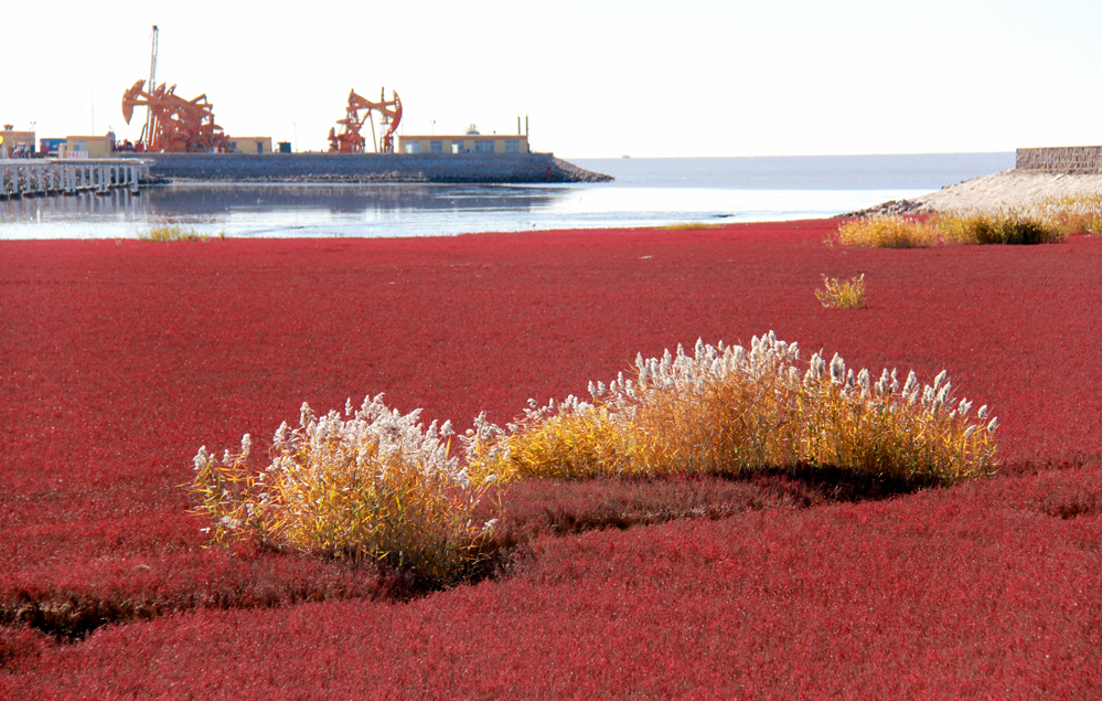 �½�����2 991.jpg