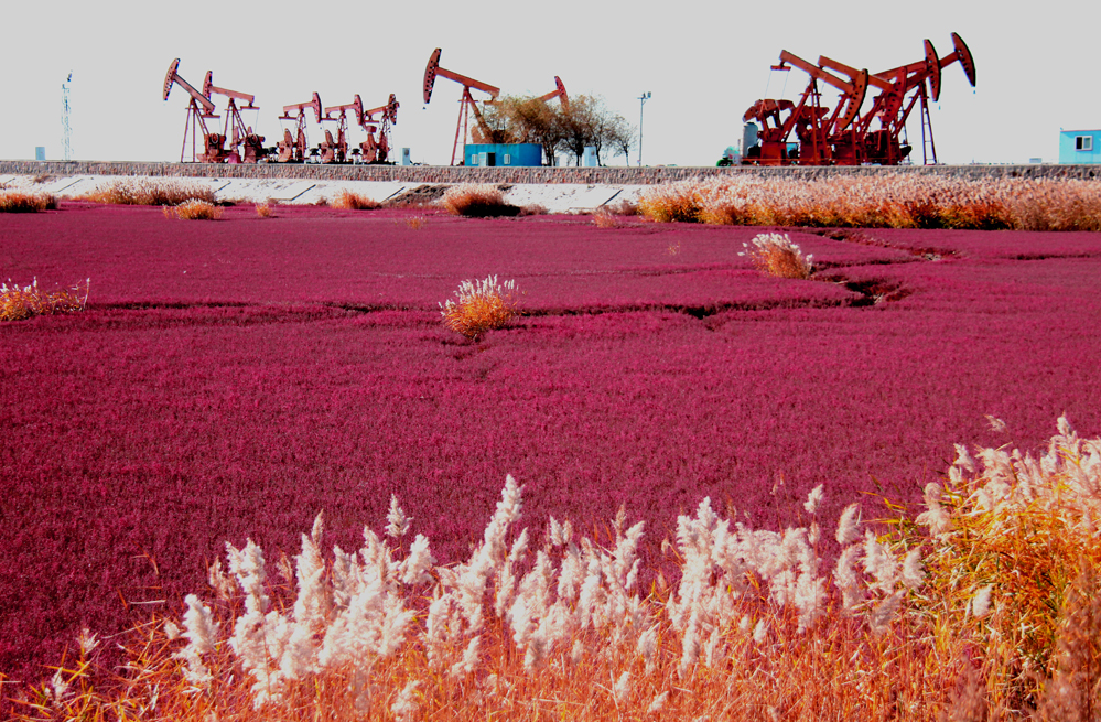 �½�����2 1002.jpg