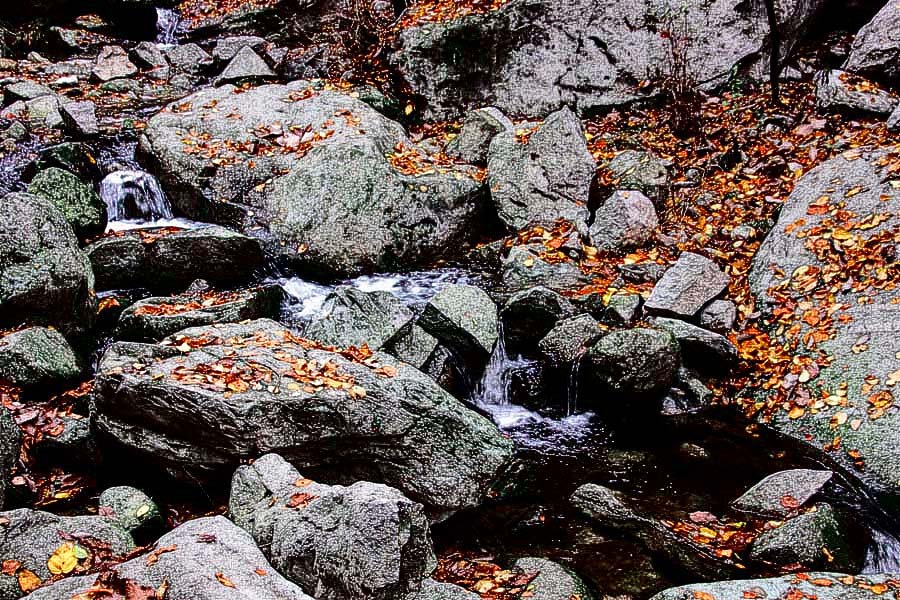 Ңɽ��Ƭ 185_����.jpg