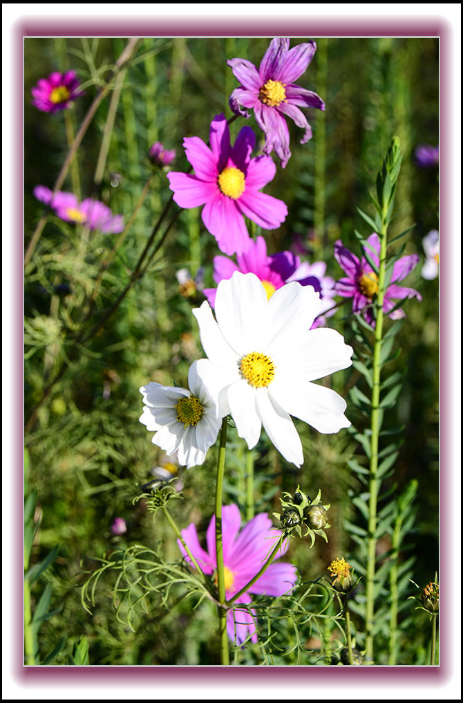 ��ת ��ת 2013��10��10��ë��ɽ��Ƭ 01122.jpg