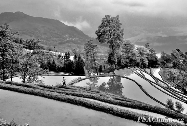 08.�˽�����Ʒ��������䡷In the terrace.jpg