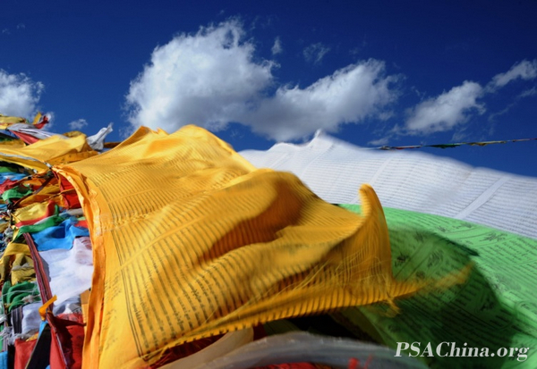 02.�¾�����Ʒ����Ʈ���ľ�ᦡ�FLUTTERING PRAYER.jpg