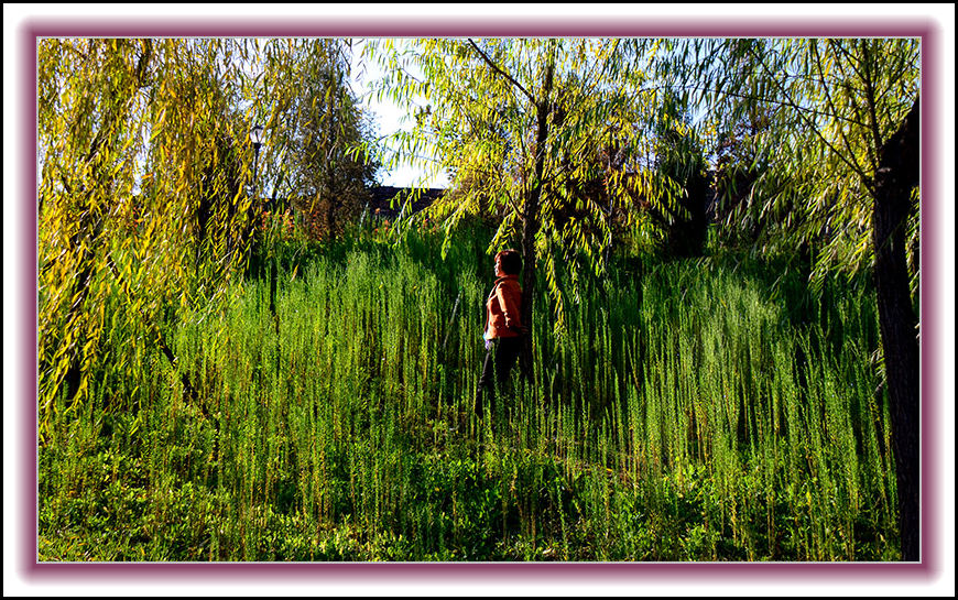 2013��10��10��ë��ɽ��Ƭ 000154.jpg