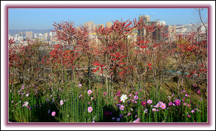 2013��10��10��ë��ɽ��Ƭ 0072.jpg