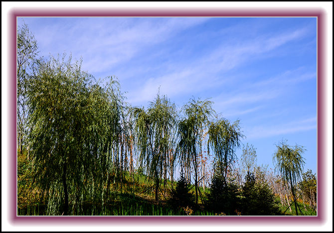 2013��10��10��ë��ɽ��Ƭ 11166.jpg