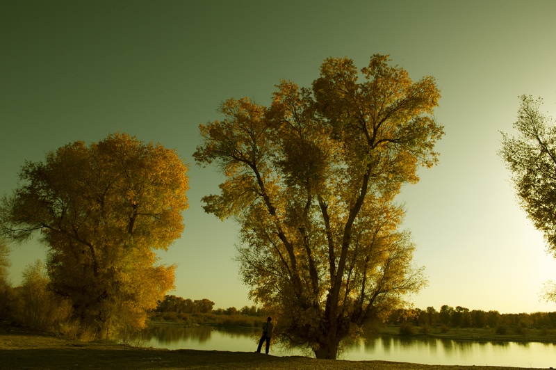 �ͳ�����ϵĺ���