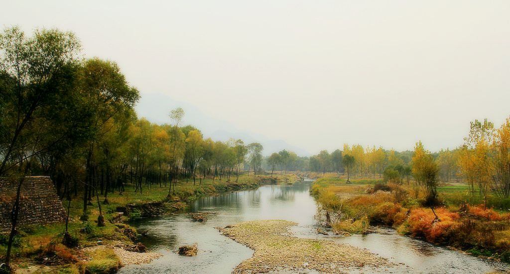 ������Ũ