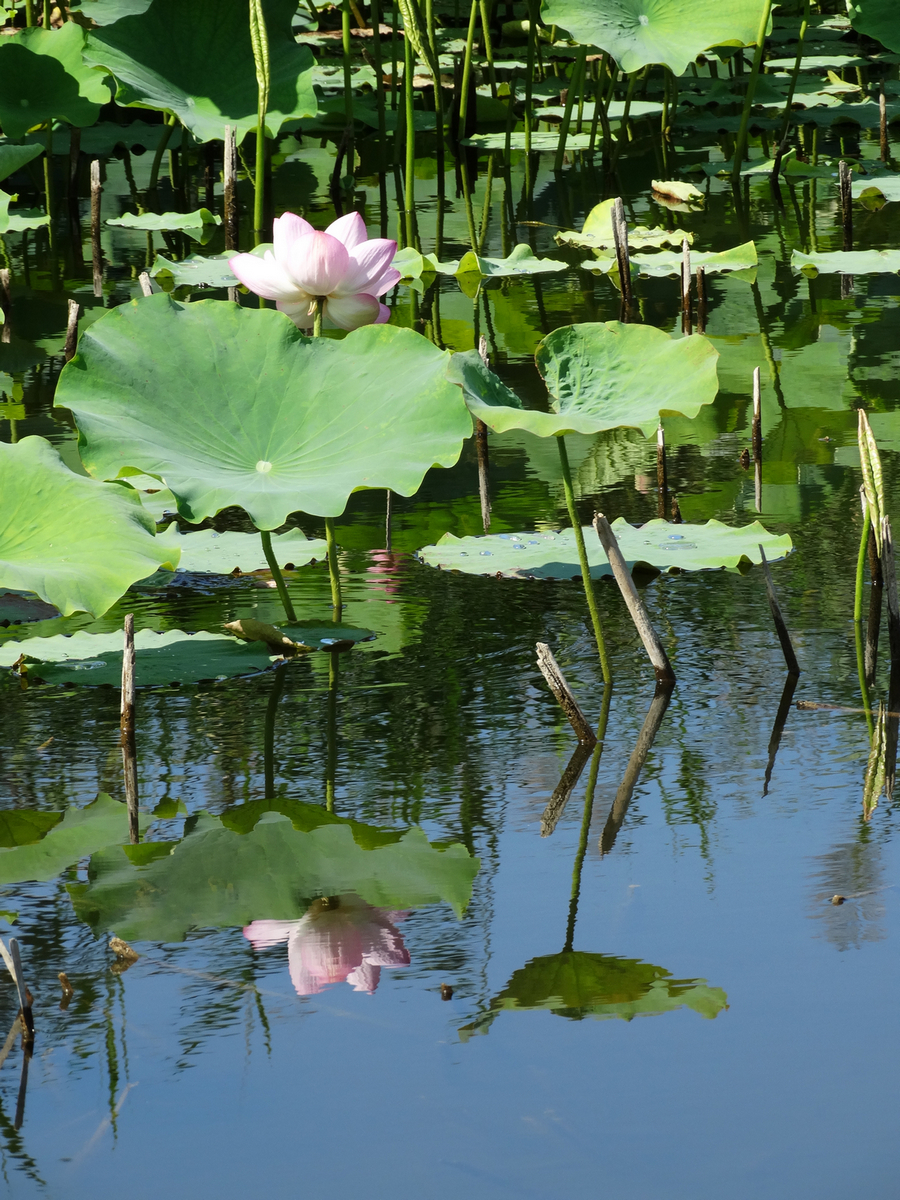 ������Ӱ  (1)  ԭͼ.JPG