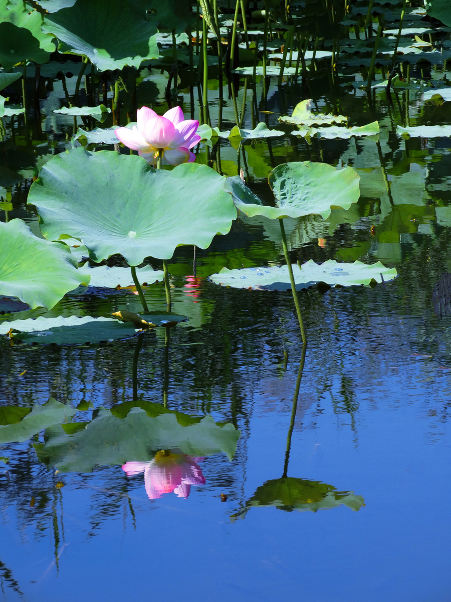 ������Ӱ  Ч��ͼ) (1).jpg