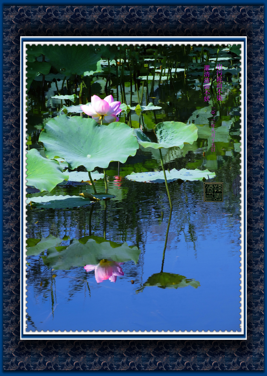 ������Ӱ  Ч��ͼ) (3).jpg