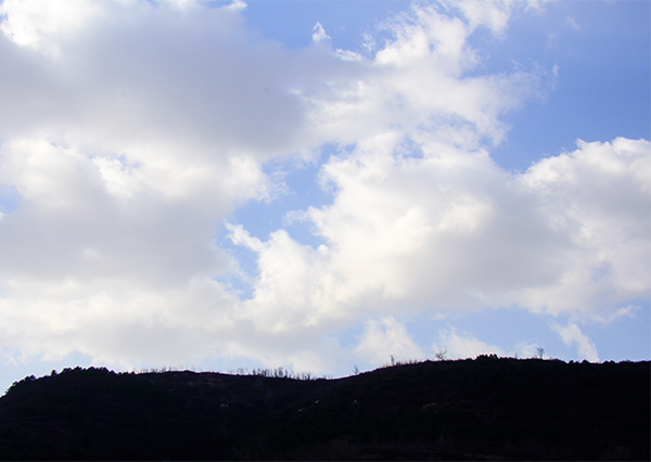 2013��11��16��������Ƭ 11005.jpg