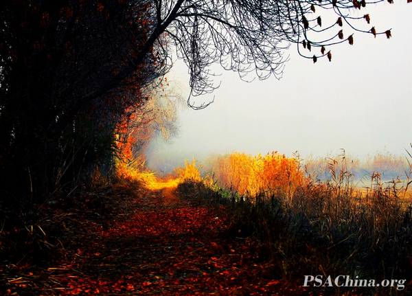 08.����ƽ��Ʒ��������⡷Fog and light.jpg