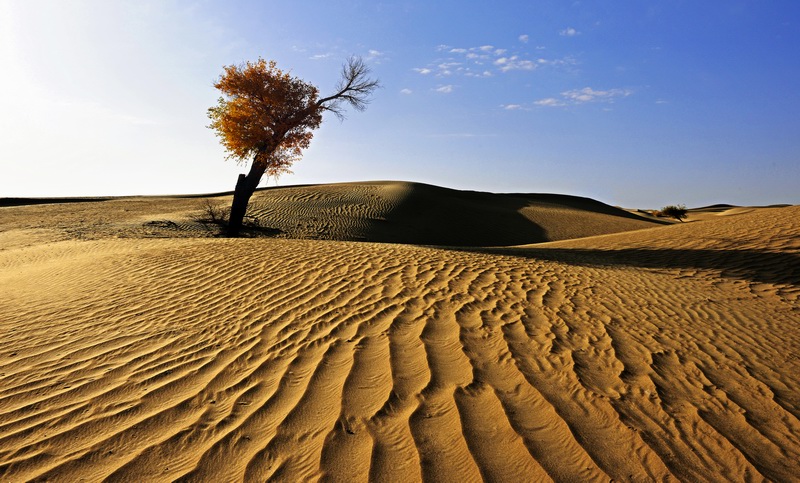 ��Ųɳ����   ��Ӱ   ����ӡ