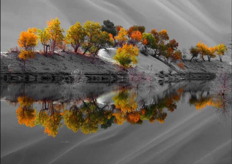 �羰��߶���   ��Ӱ   ����ӡ