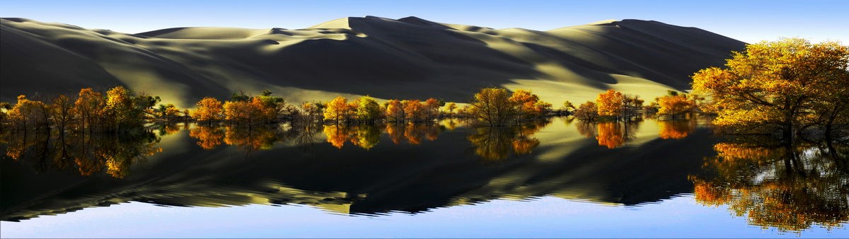 ��������  ��Ӱ   ����ӡ