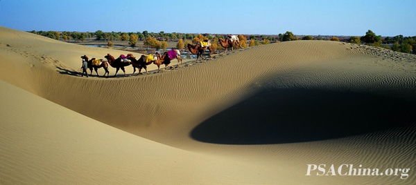 05.��Ծ��Ʒ����ɳĮ���塷desert camel bell.jpg