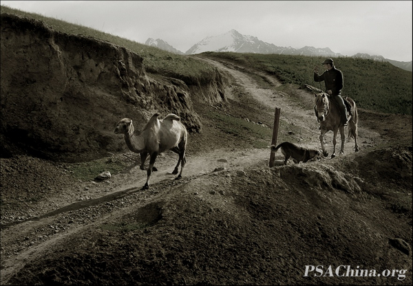 08.������Ʒ���������յ��ˡ� Camel man.jpg