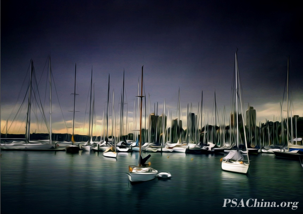 03.��ѧ����Ʒ���������ĸ��塷 SILENT HARBOR.jpg