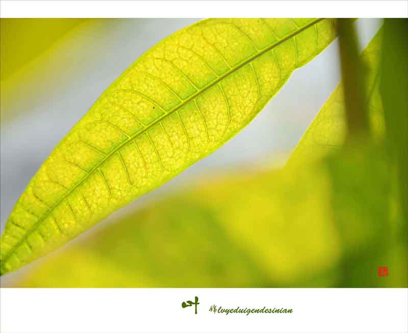 ��Ƭ 019������������.jpg