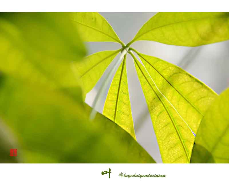 ��Ƭ 025������������.jpg