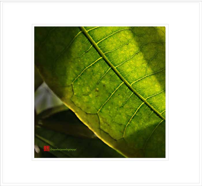 ��Ƭ 022������������.jpg