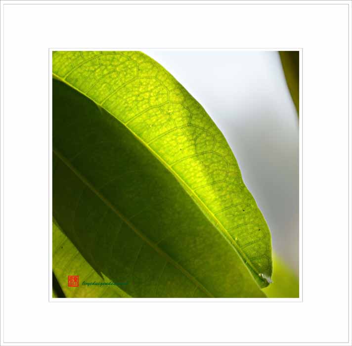 ��Ƭ 024������������.jpg