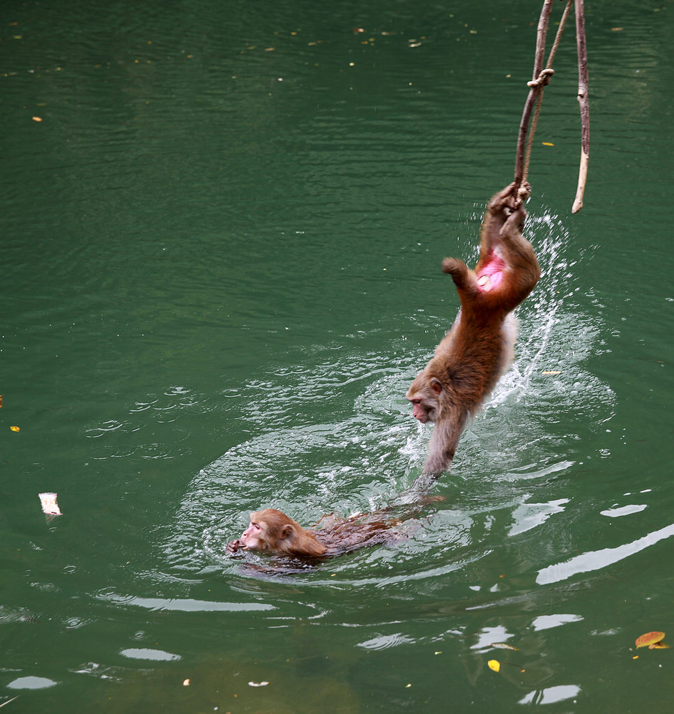 IMG_2049.jpg  111.jpg