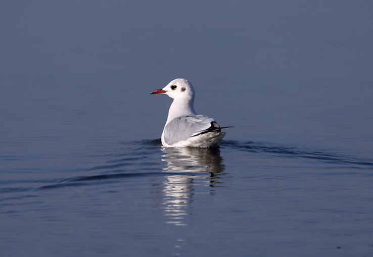 ����Ÿ (1).jpg