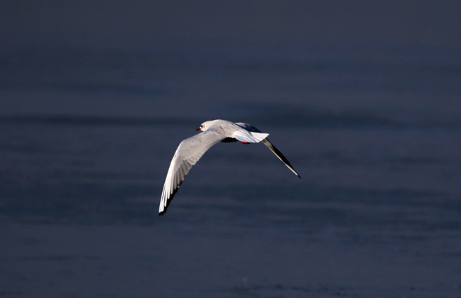 ����Ÿ (2).jpg