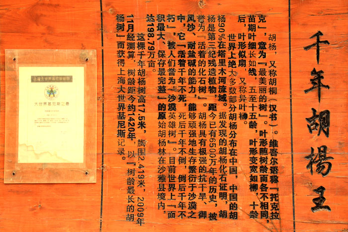 13102910 IMG_1276����.jpg