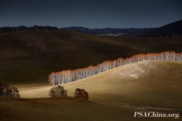 03.��ѧ��WPAI����Ʒ��ɽ�¡� HILLSIDE.jpg