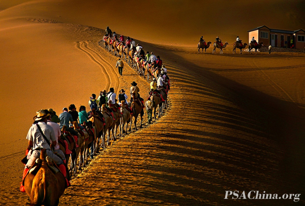 01.��ѧ��PSA������Ʒ��ɳĮ���塷 DESERT CAMEL BELL.jpg